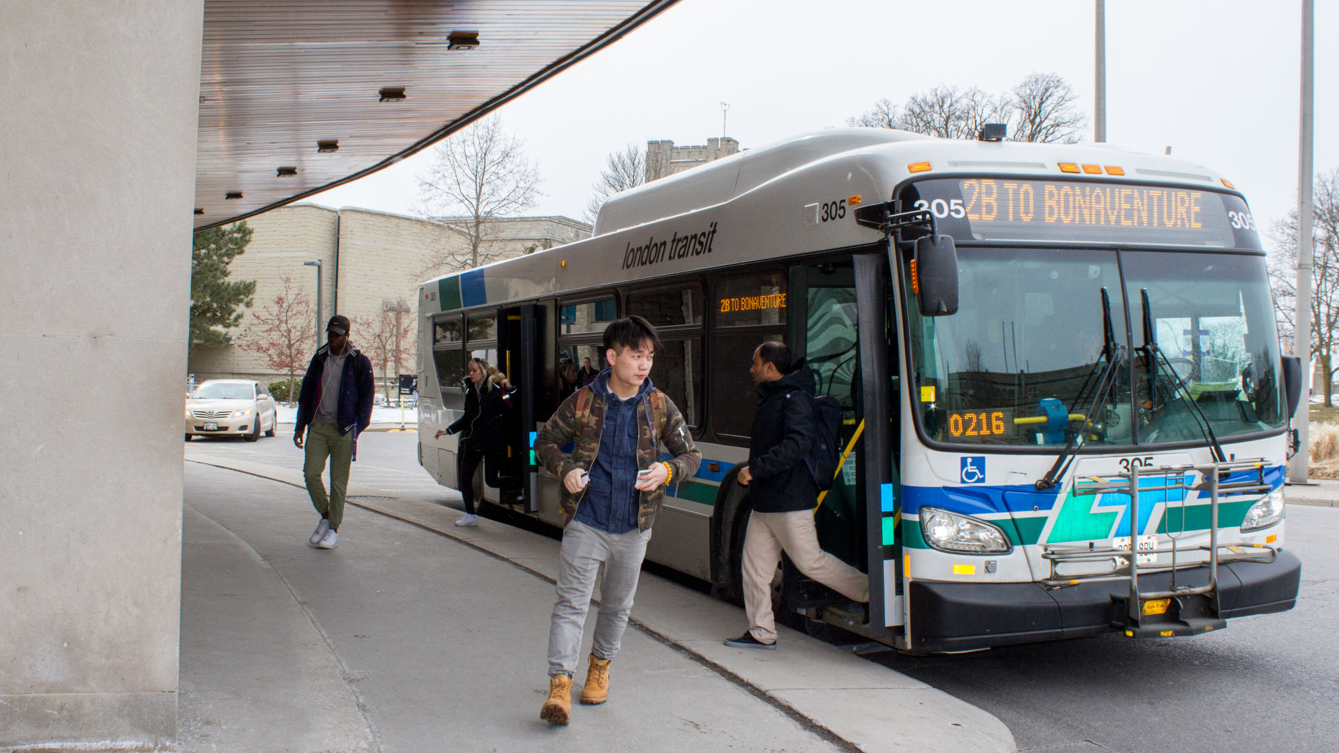 LTC Buses 2